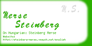 merse steinberg business card